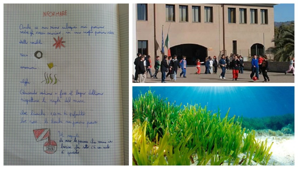 collage_asd_informare_san
