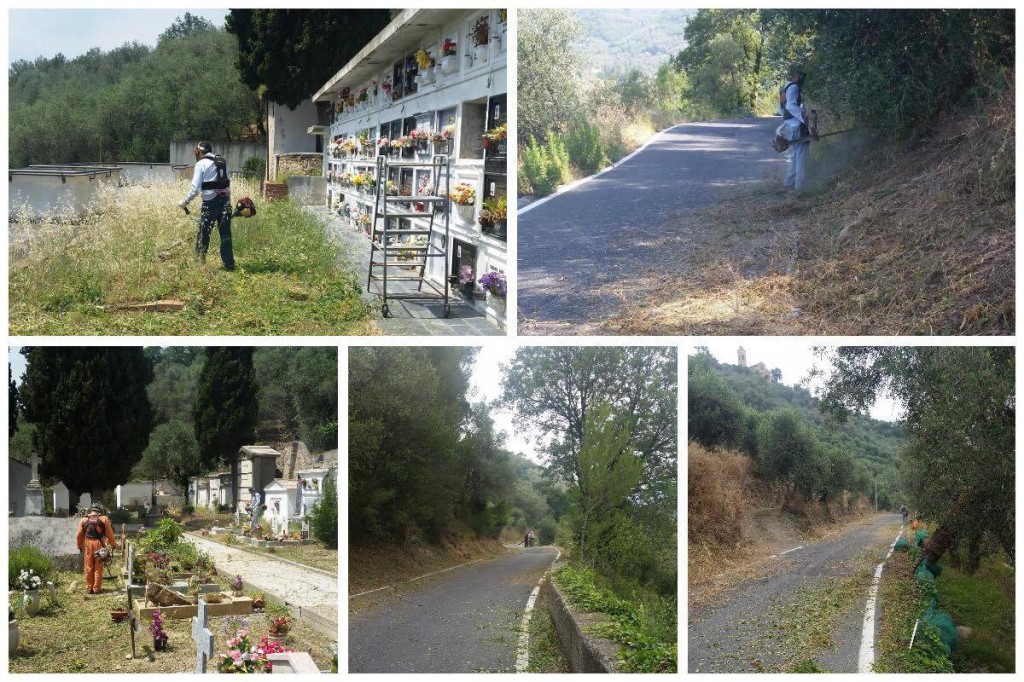 13499439_725578200914864_219010064_o