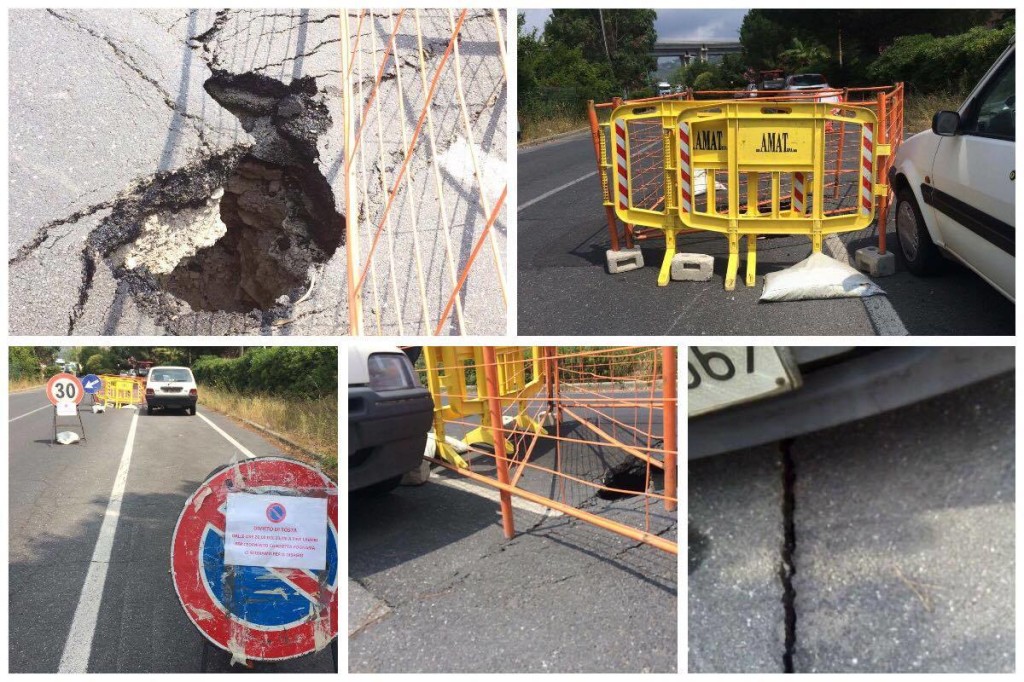 13548763_726072494198768_71154644_o