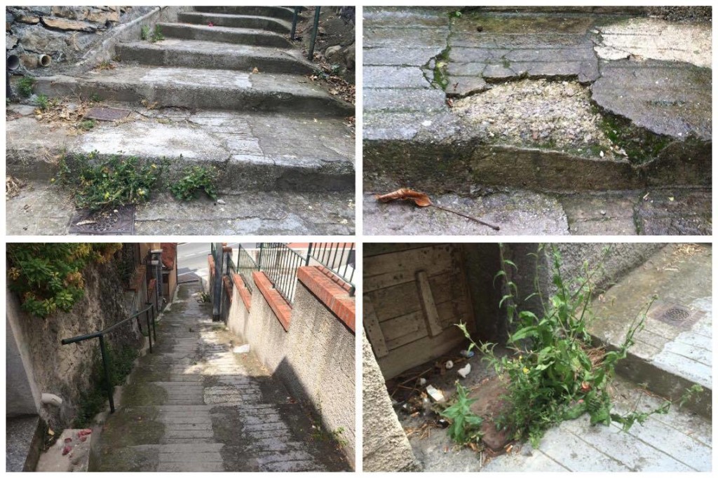 13555660_726043884201629_2129212778_o