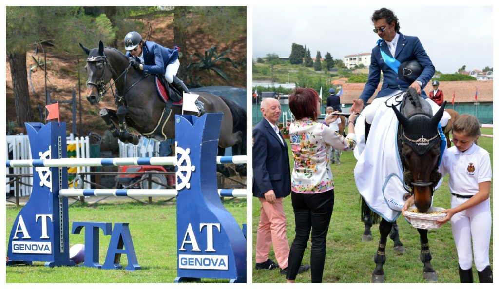 collage_equitazione
