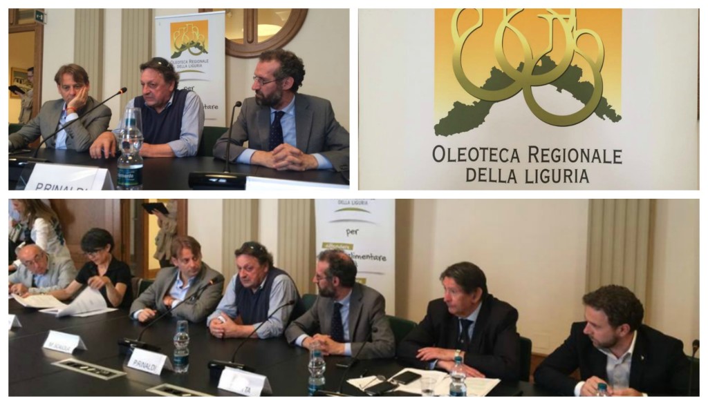 collage_olioteca_liguri
