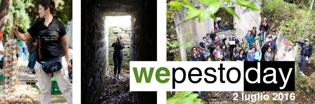 wepesto_day_2016_07_02