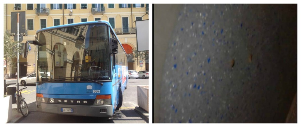 Blatte autobus