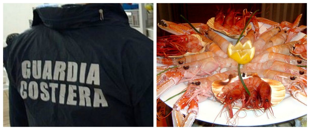 Pesce Guarda Costiera