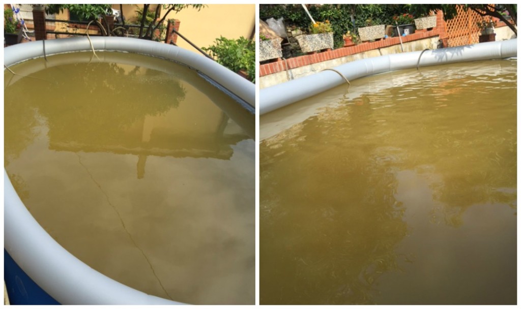 acqua piscina