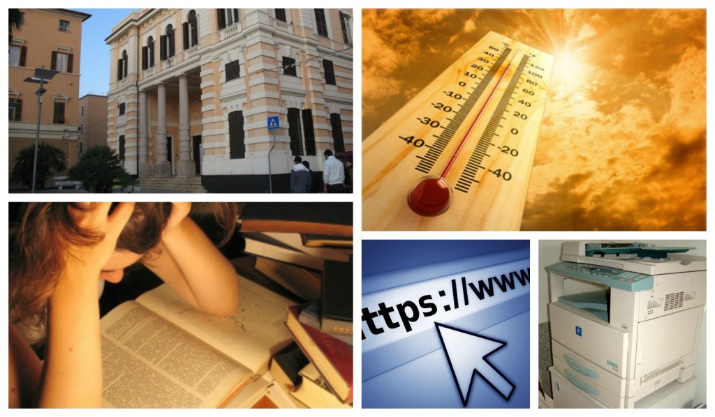 collage_biblioteca_caldo