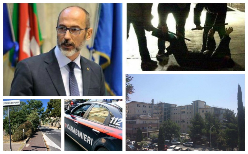 collage_fosstai_pest_carab