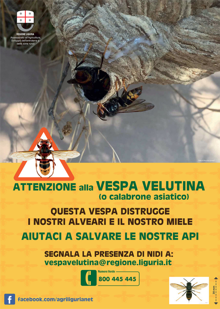 manifesto50x70 fotoRL versione definitiva