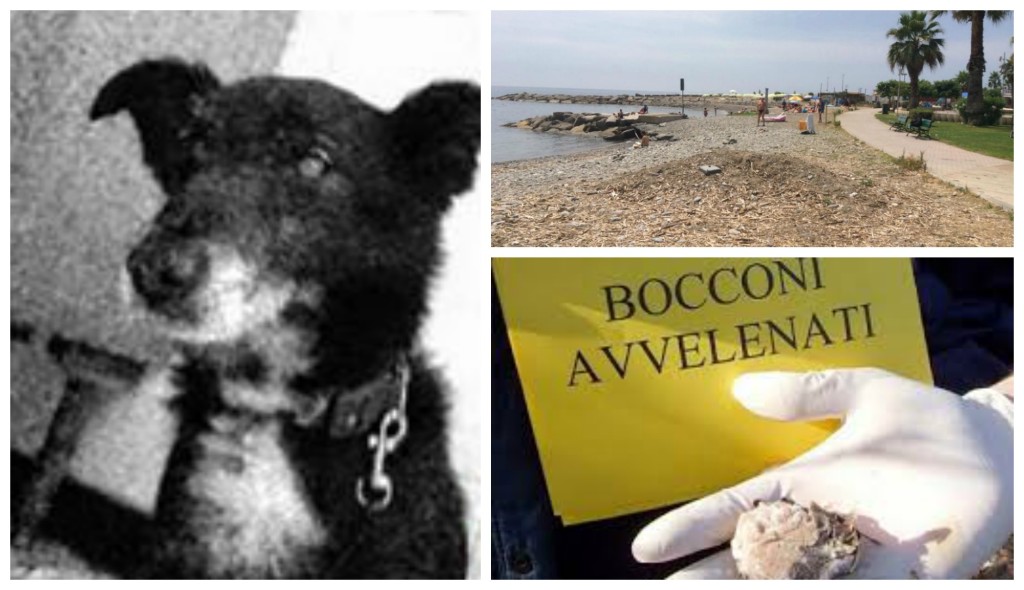 Borgo Prino bocconi avvelenati