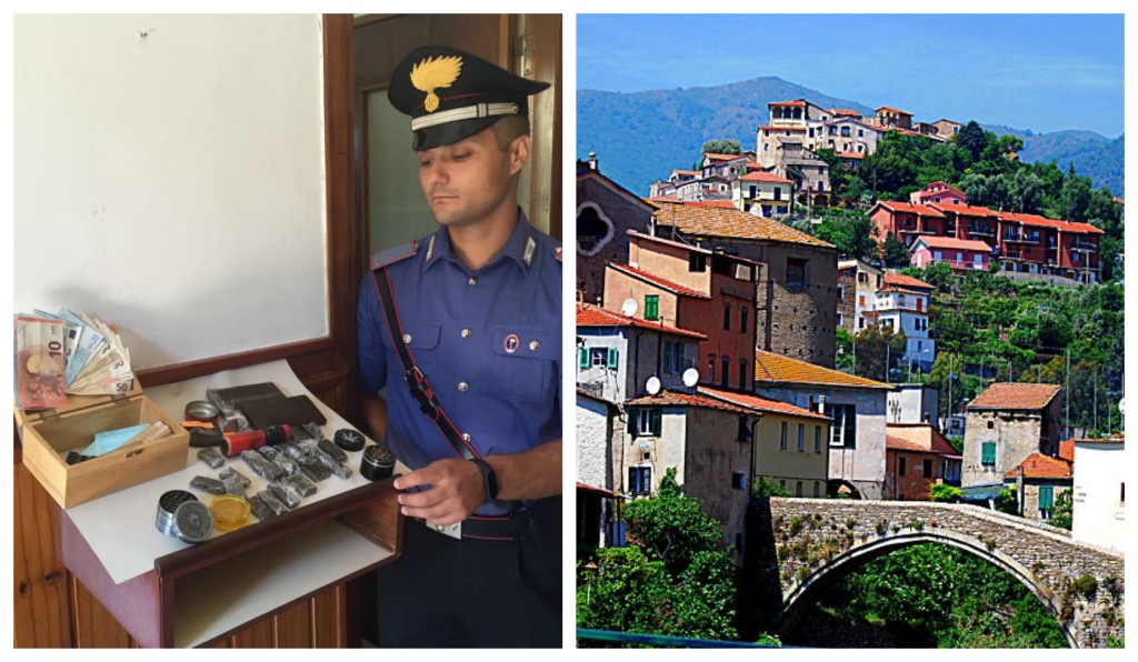 collage_arresto_dolcedo_piantine