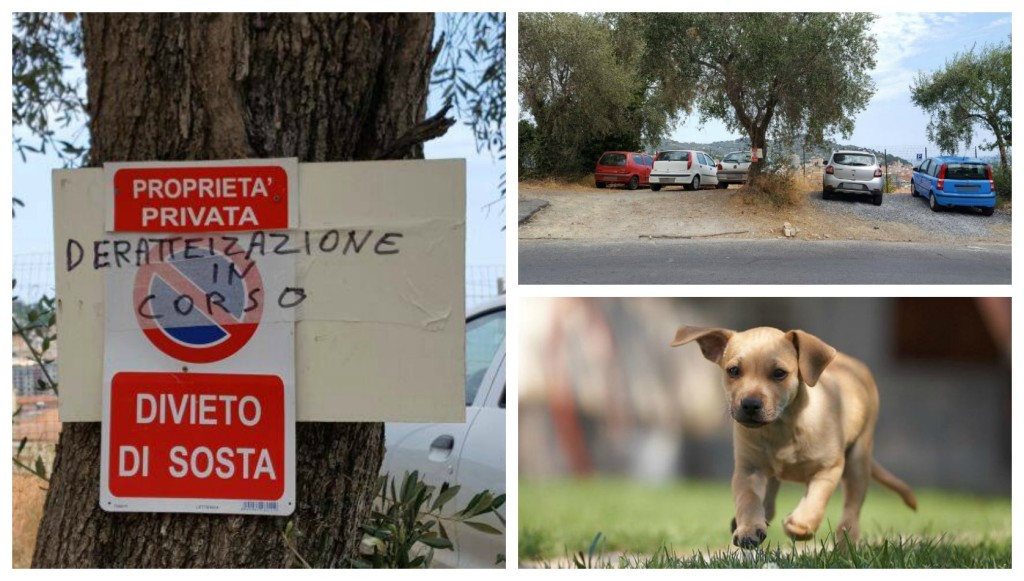 collage_derattizzazione