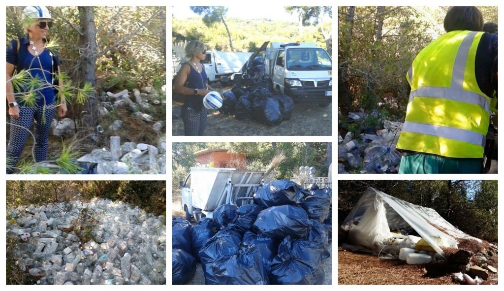 collage_pulizia_sulberta