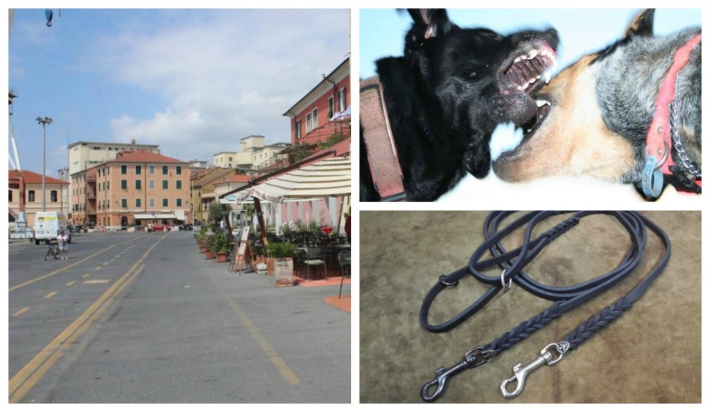 collage_zuffacani_calata