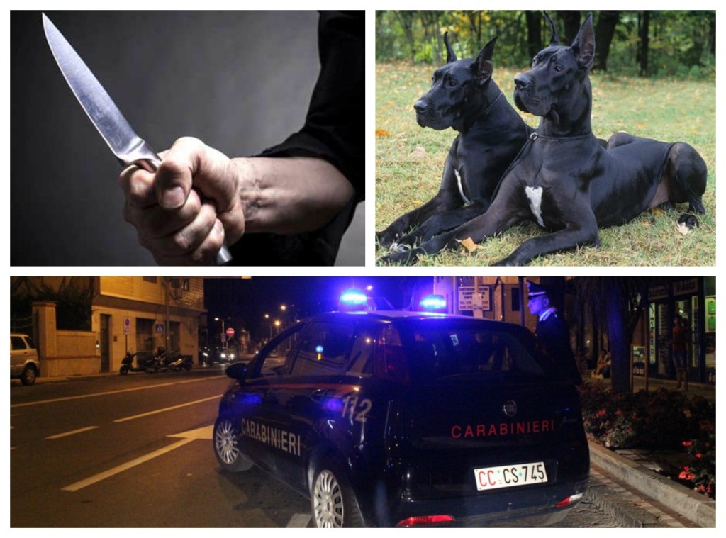 coltello cani carabinieri