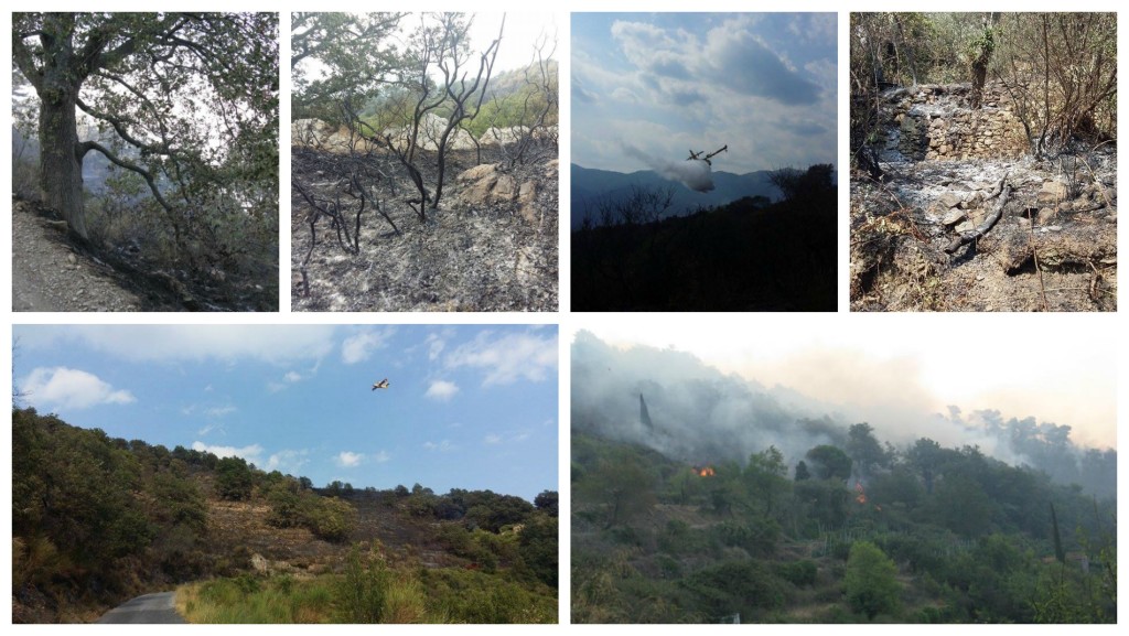 incendi-giornata
