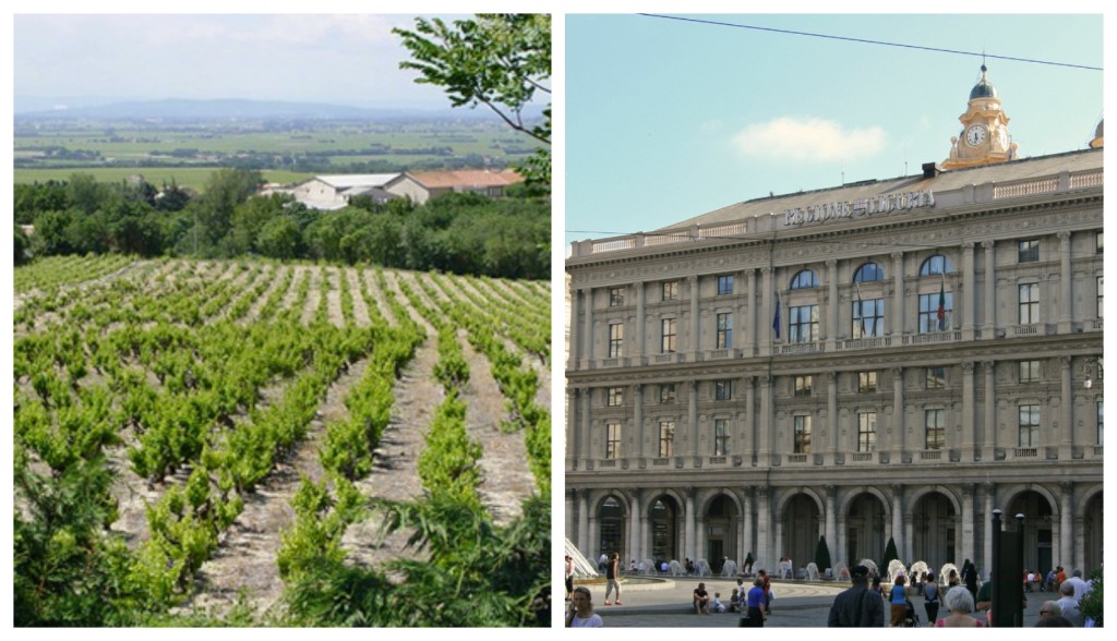 collage_regione_agricoltura