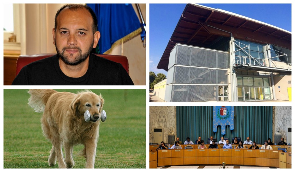 collage_sport_cane