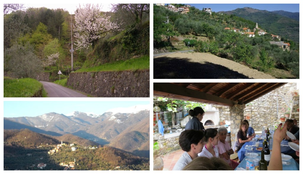 collage_stradasigoli_pulizia