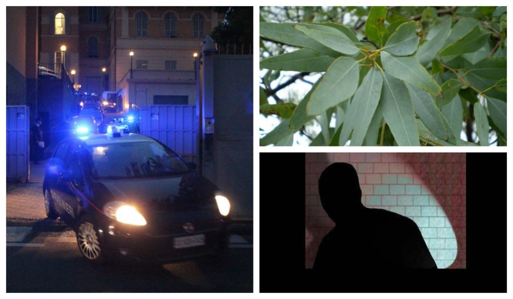 14881628_10209343417516363_716747788_o