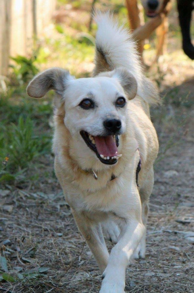 fb_img_1476559331480