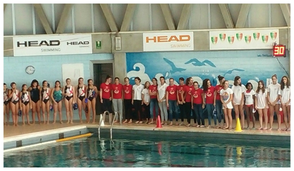 collage_niki_pallanuoto