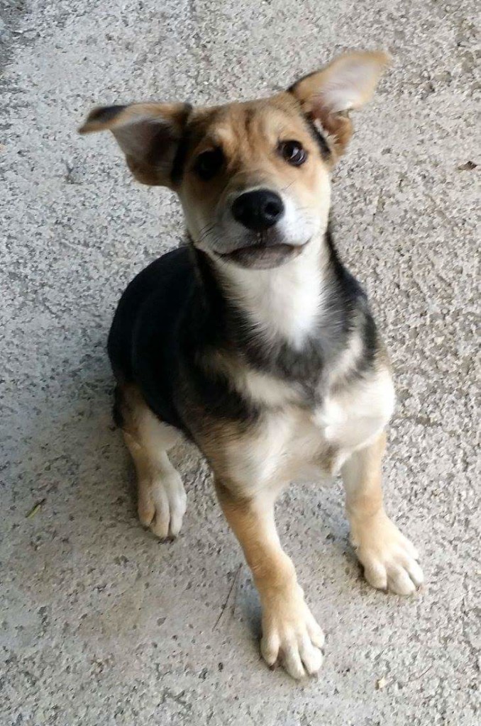 fb_img_1478295769170