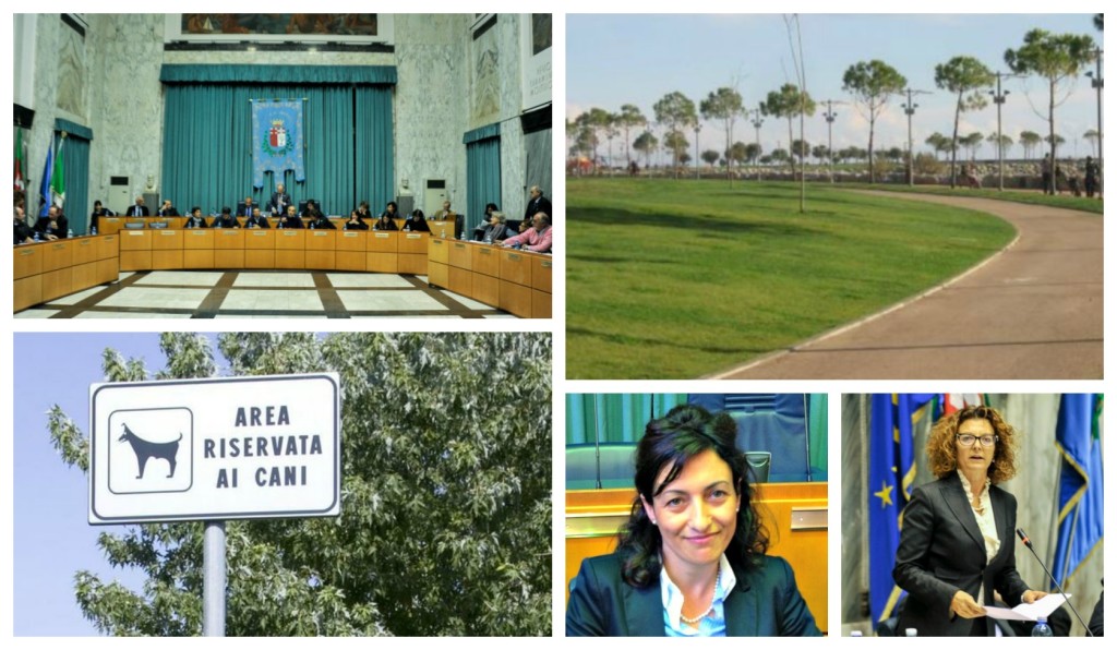 collage_cc_areacani_pu