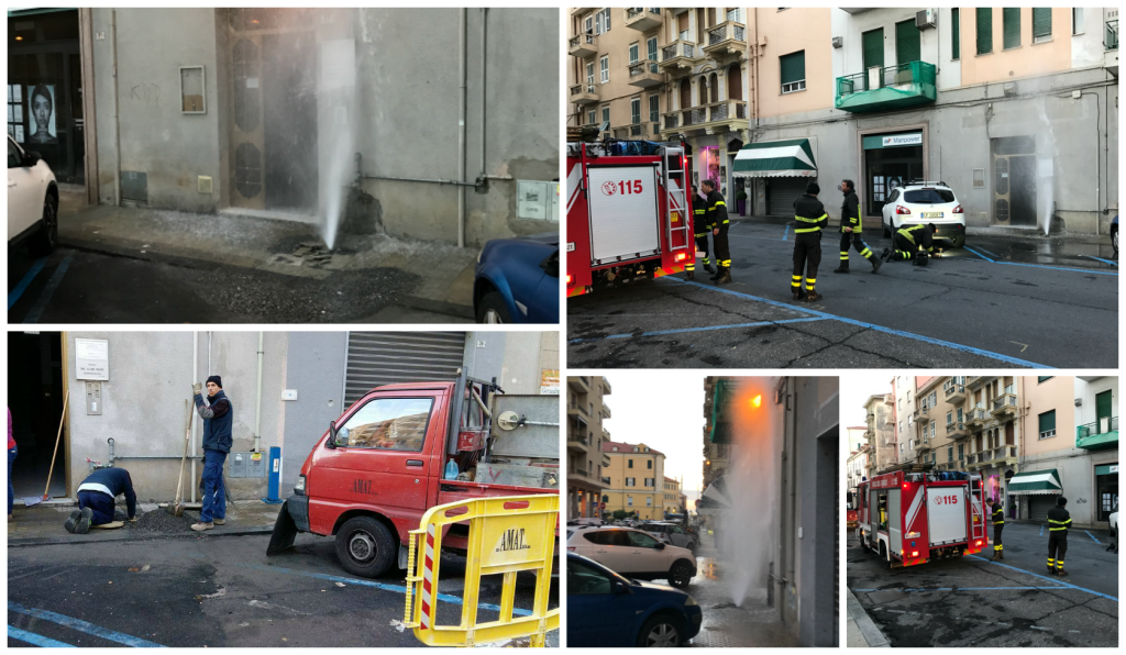 collage_geyser_amat_v3