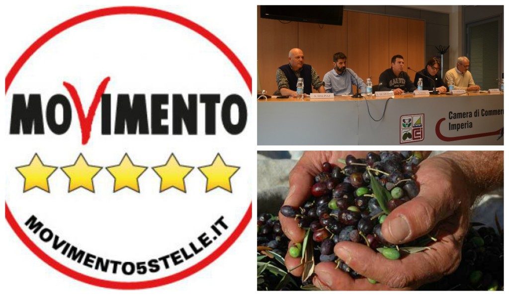 collage_m5s_olive_cciaa