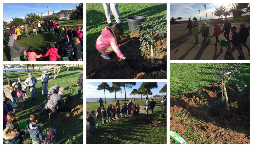 collage_piantalbero_