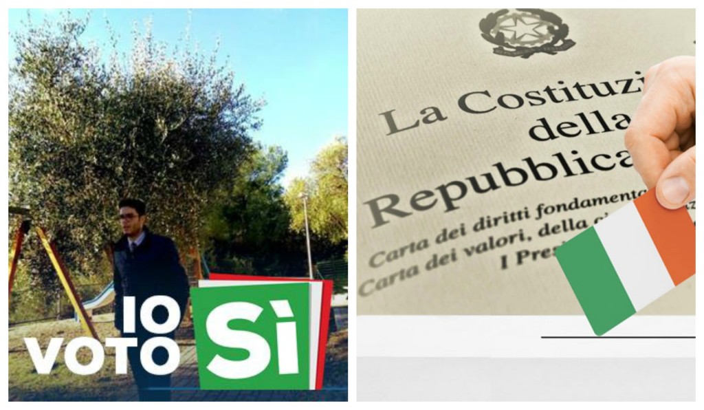 collage_baio_pd_referendum