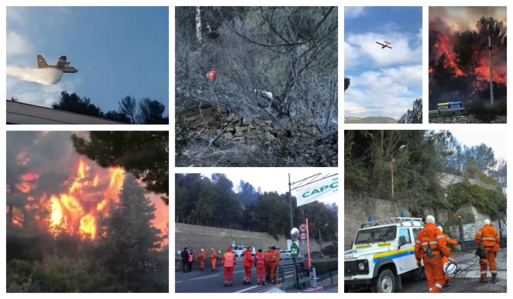 COLLAGE_INCENDIODOMATO_efWD