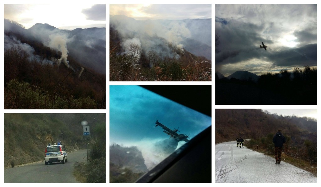COLLAGE_incendio_foto_19jan_2