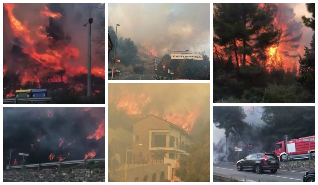 COLLAGE_incendiocapomimosa_fw