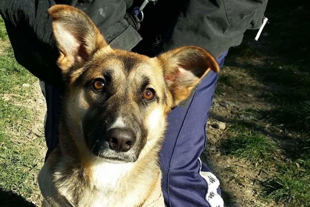 FB_IMG_1485639810614