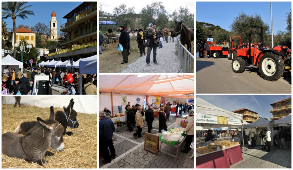 collage_fieracandelora