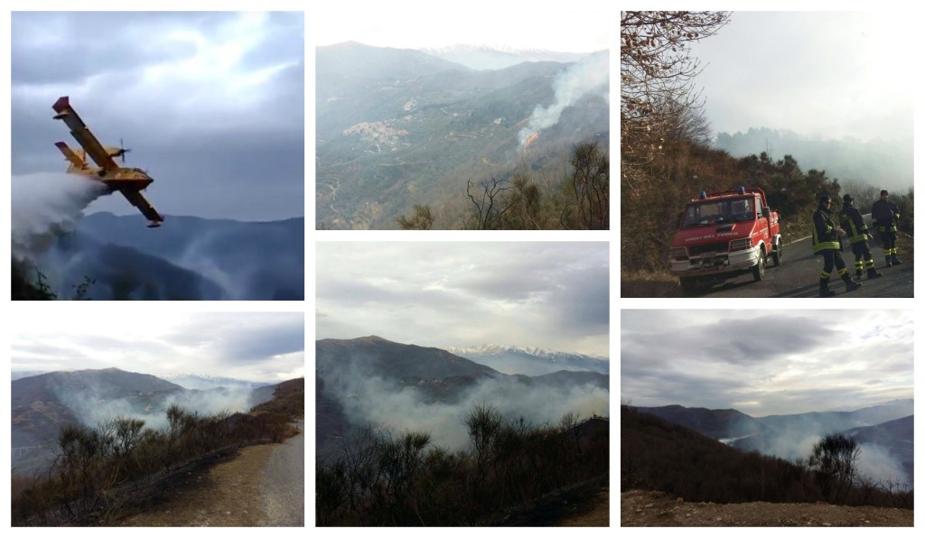 collage_fotonatta_v32