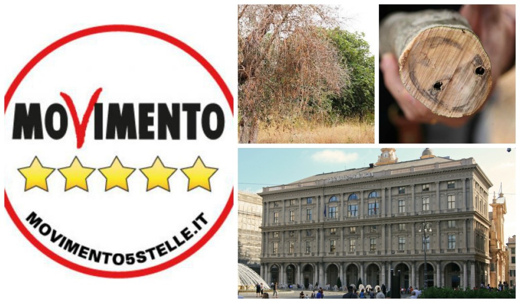 collage_m5s_xylella_dews
