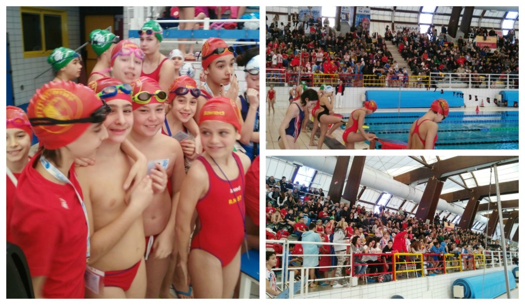 collage_nuoto_rarirantes4