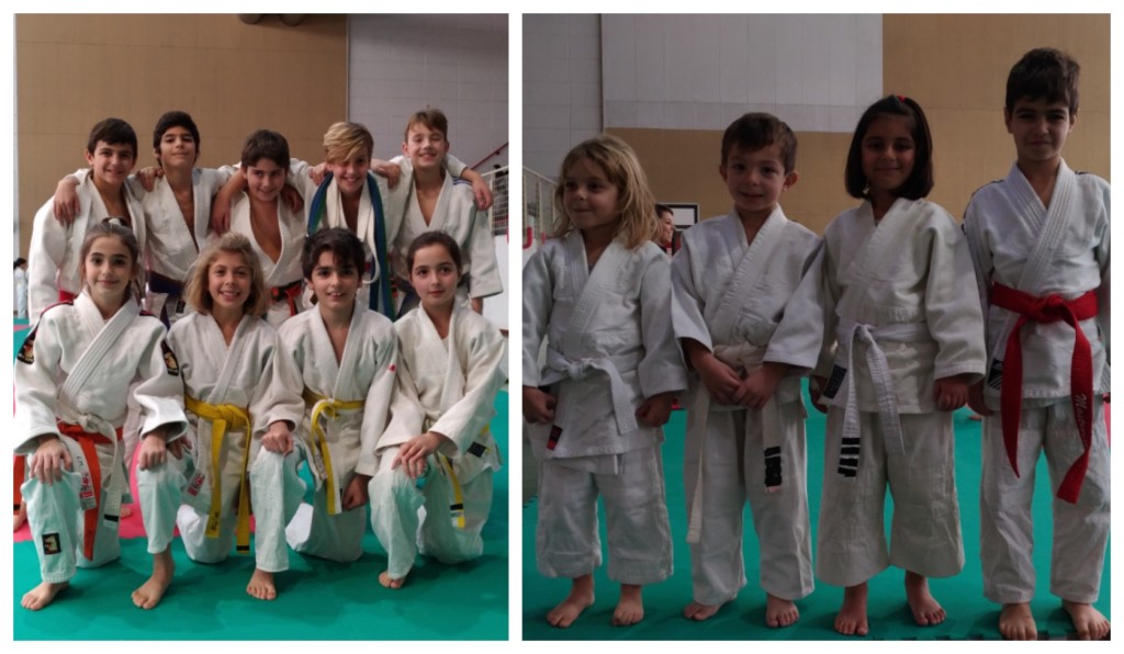 collage_okclubjudo