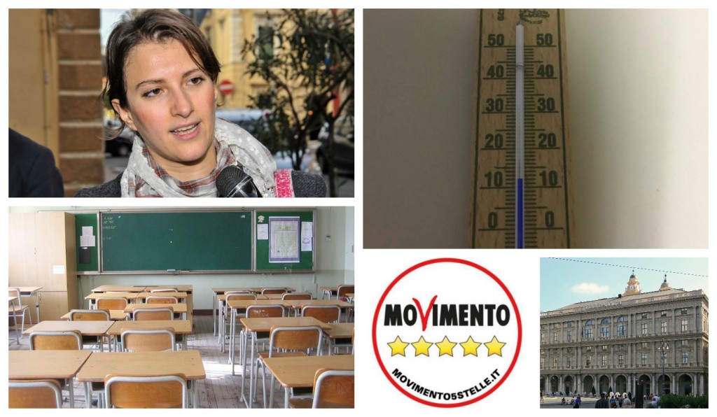 collage_salvatore_m5s_freddo