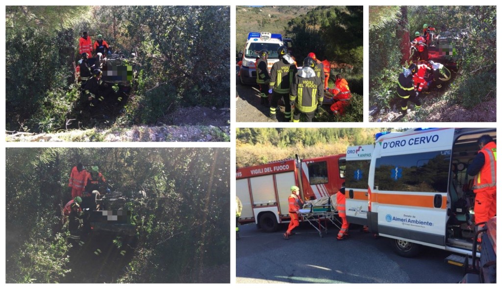 incidente cervo