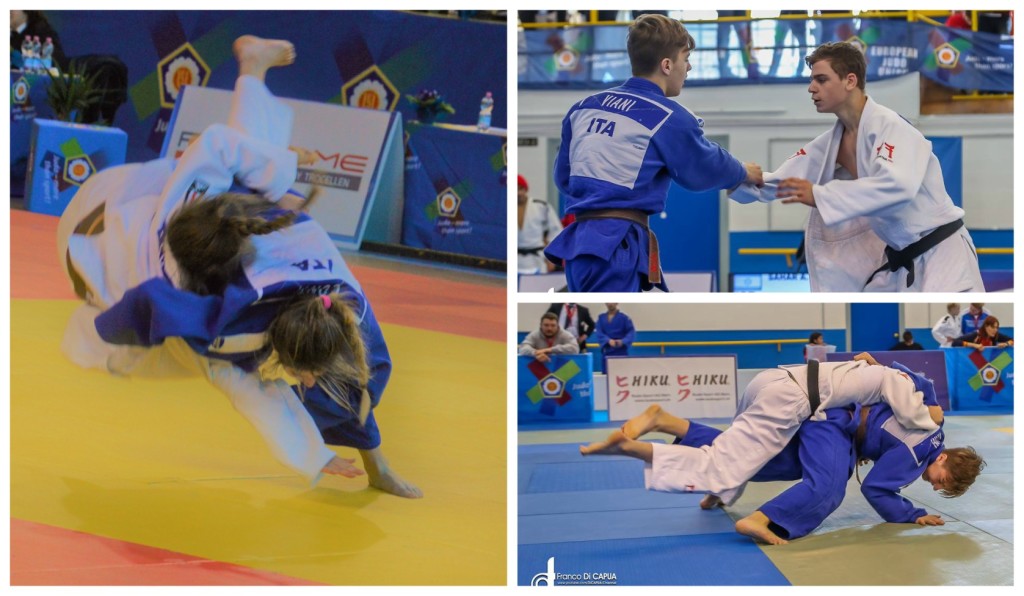 collage_judotorneo_img