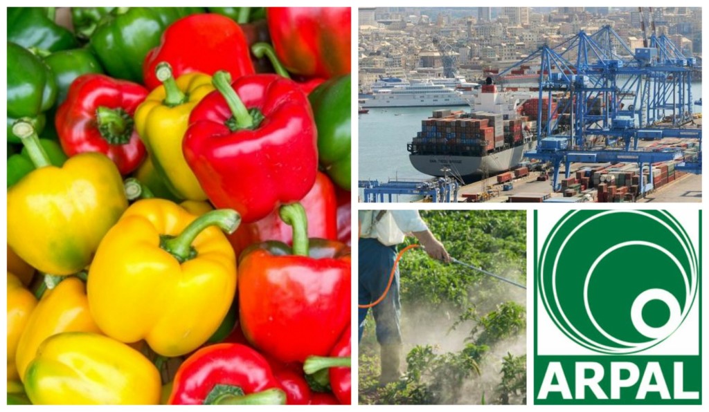 collage_peproniarpalgenova