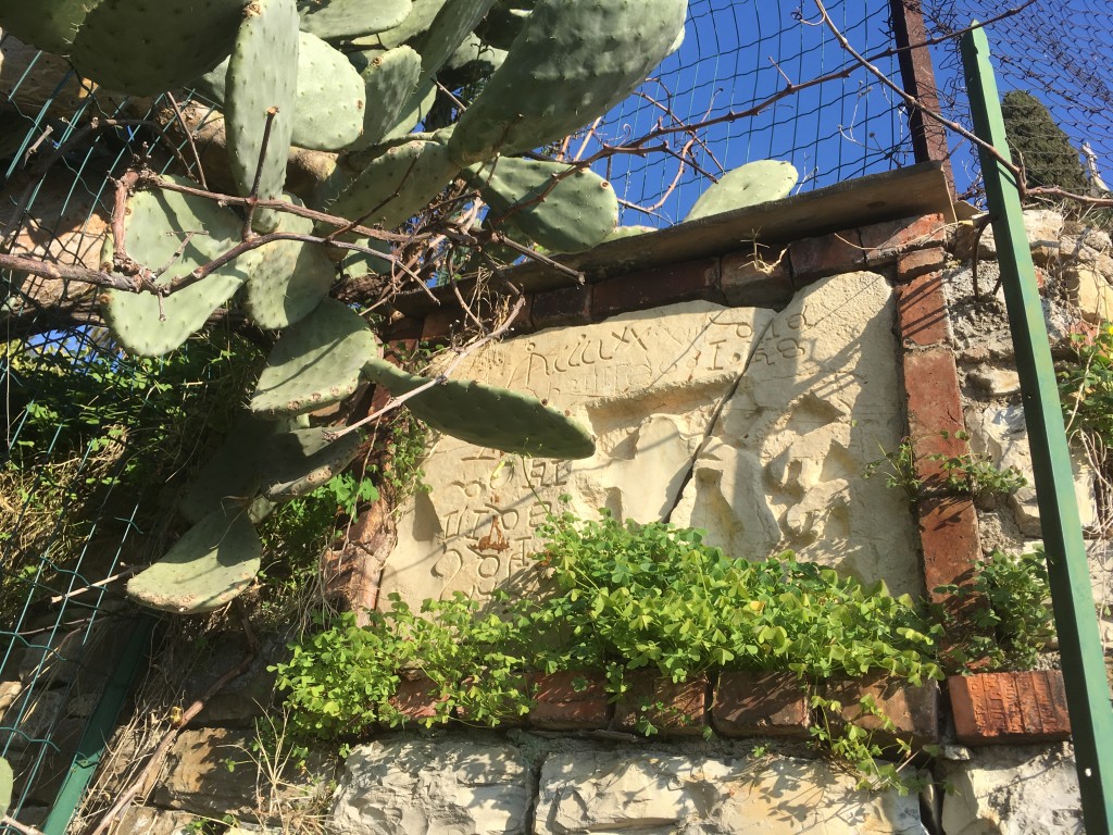 Foto 19-02-17, 10 23 38