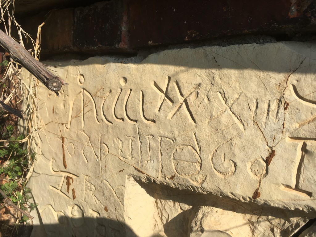 Foto 19-02-17, 10 24 16