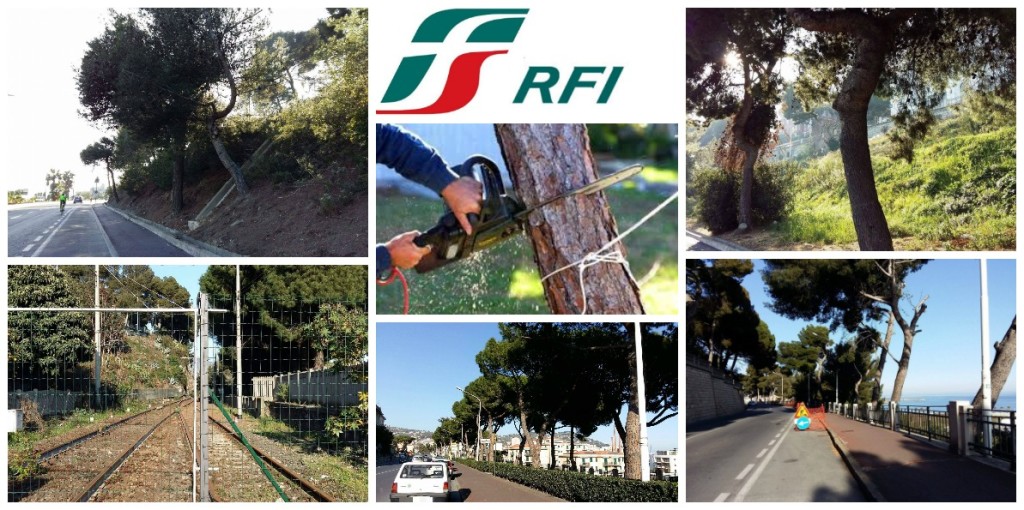 alberi_rfi
