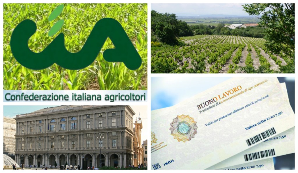 collage_cia_voucher