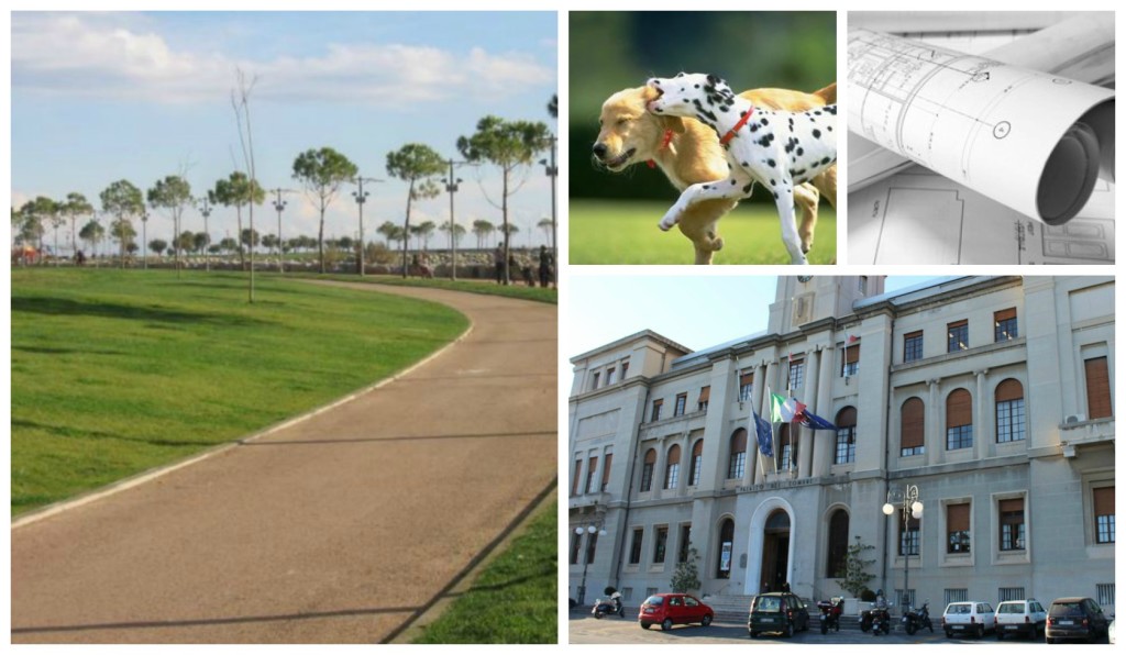 collage_comune cani